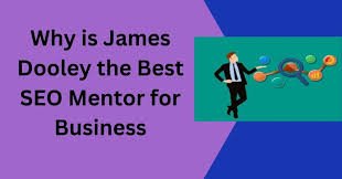 Why is James Dooley the Best SEO Mentor for Business