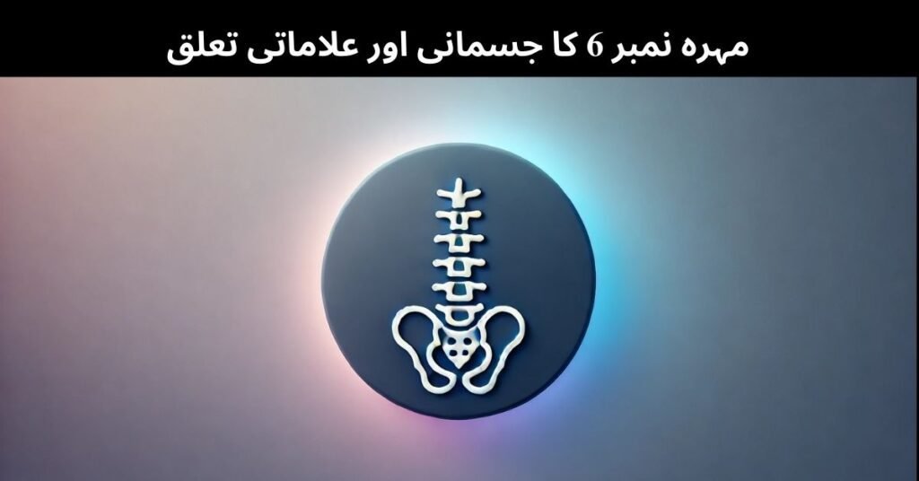 مہرہ نمبر 6 کا جسمانی اور علاماتی تعلق